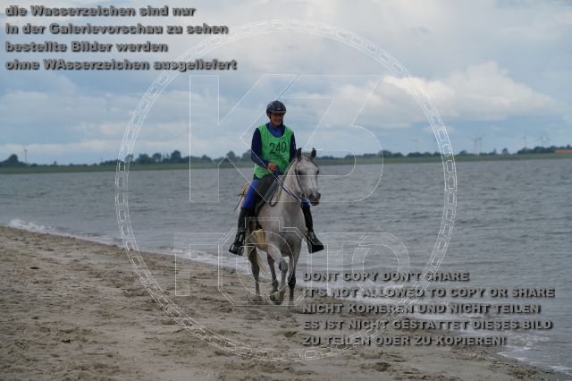 s_K3F04934.JPG